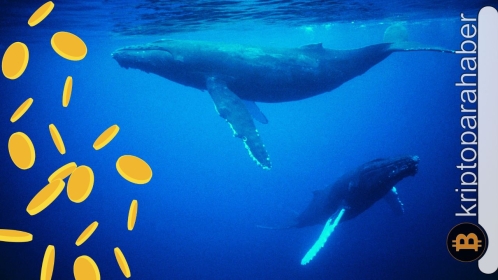 2023 Hype yılı yapay zeka coin’leri mi? Balinalar çoktan yüklendi!