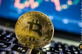 Son Bitcoin rallisinin arkasındaki kurumlar belli oldu! İşte ayrıntılar