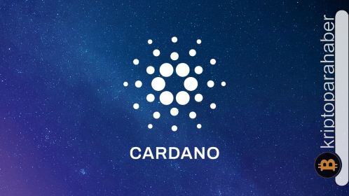 Cardano, balinaların gözdesi olmaya devam ediyor! Fiyat ne zaman tepki verecek?