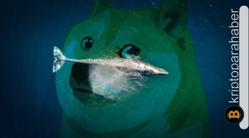 DOGE, balinaların da desteğiyle hızla yükseliyor! Ancak yatırımcılar neden dikkatli olmalı?