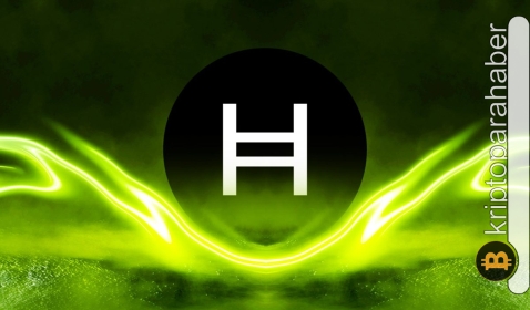 Bu altcoin, kripto para piyasasındaki olumsuz duyguya kafa tutuyor! İşte sebebi…