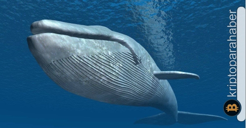 MATIC balinalarının son satışı fiyatı aşağı çekebilir! İşte ayrıntılar…