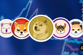 Meme coinler hakkında bilinmeyenler, meme coinler risklidir, meme koinler risk barındırır! - Kripto Para Haber