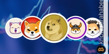 Meme coinler hakkında bilinmeyenler, meme coinler risklidir, meme koinler risk barındırır! - Kripto Para Haber