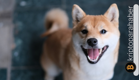 Shiba Inu, şeytanın bacağını kırıyor! Grafikteki altın kesişim fiyatta yeni bir ralli başlatabilir