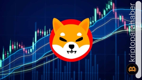SHIB %10 oranında artabilir! Ancak bir sorun var!