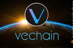 VeChain fiyatı iki önemli gelişmenin ardından yükseliş geçti! Daha fazla yukarı yönlü hareket bekleyebilir miyiz?