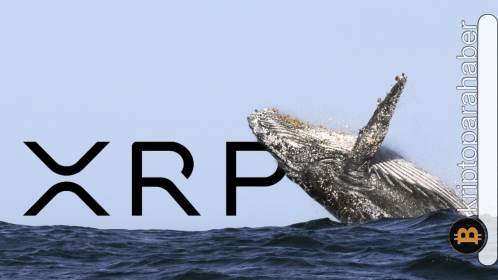 Balinalar fiyat düşüşüne rağmen XRP biriktirmeye devam ediyor! İşte sebebi…
