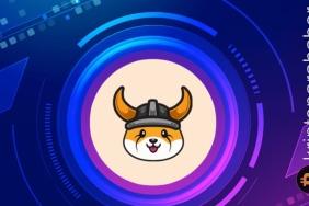 Floki Inu diğer meme coinleri geride bıraktı: Son 24 saatte yüzde 95 arttı