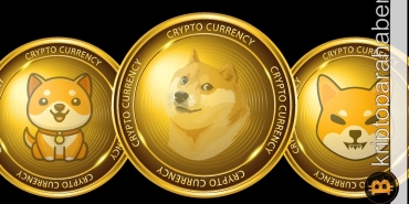 Popüler meme coin'in yakım haberleri fiyatı canlandırdı!