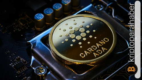 Cardano’nun sosyal ilgisi yeni zirvelere ulaştı! Fiyata yansıyacak mı?