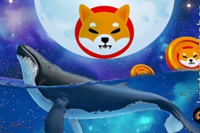 Son günlerin en büyük transferi: Milyonlarca SHIB aniden taşındı! Neler oluyor?