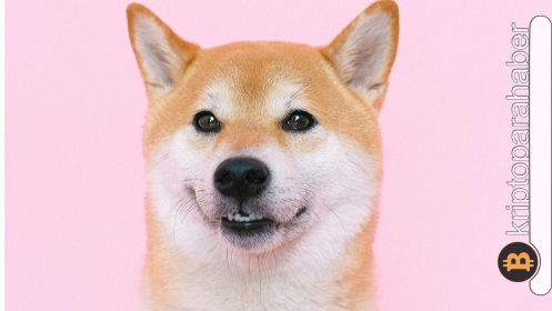 Bu 2 farklı iyileşme senaryosu Shiba Inu yatırımcılarının yüzünü güldürebilir!