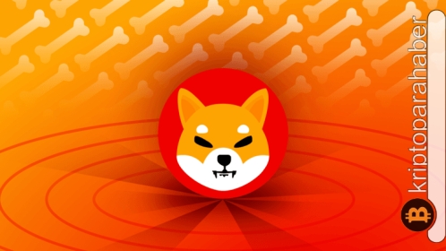 Shiba Inu, durgun fiyat hareketine rağmen işlem sayısında yüzde 700’lük bir artış kaydetti! Neler oluyor?