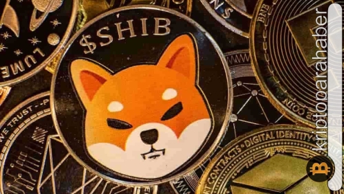 İşler tersine mi döndü? Shiba Inu bu varlığı geride bıraktı!