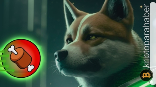 Shibarium layer 2 için başlangıç tarihi kesinleşti mi? İşte merak edilen açıklama…