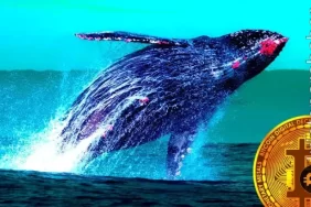 Son fiyat düşüşünün ardından büyük balina adresleri harekete geçti!