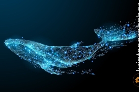 Balinalar düşüşe rağmen ARB tokeni biriktiriyor!