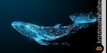 Balinalar düşüşe rağmen ARB tokeni biriktiriyor!