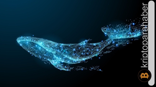 Balinalar düşüşe rağmen ARB tokeni biriktiriyor!