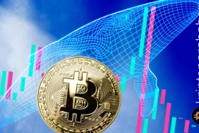 Bitcoin balinaları düşüşü fırsata çevirdi! İşte veriler