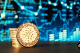 Dikkat çeken rapor: Cardano piyasanın geri kalanından ayrılıyor olabilir!