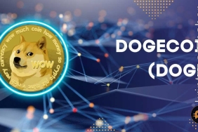 DOGE fiyat tahmini: Dogecoin boğaları kontrolü ele geçirmeye hazır!