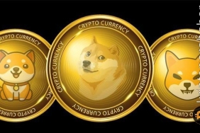 Bu meme coin büyük borsa listelemesine yüzde 33'lük bir fiyat artışla karşılık verdi!