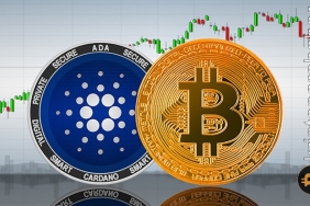 Popüler analist, BTC ve ADA fiyatının güçlü bir ralliden önce bu seviyelere düşeceğini söyledi!