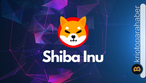Shiba Inu balinaların gözdesi olmaya devam ederken, fiyatı kilit desteğe yaklaştı!