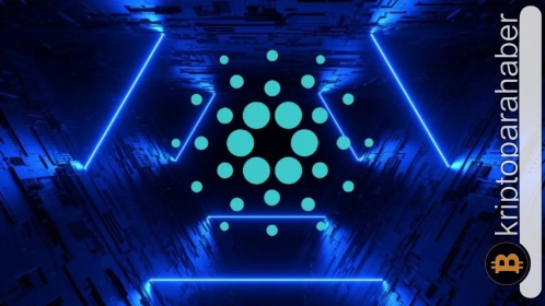 Yatırımcılar büyük miktarlarda Cardano taşıyor! Volatilite artışının habercisi olabilir