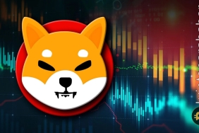 SHIB yatırımcıları dikkat! Potansiyel yükseliş mi yoksa daha fazla düşüş mü?