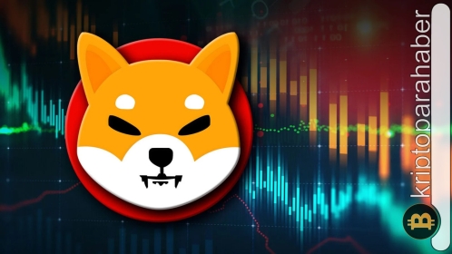 SHIB yatırımcıları dikkat! Potansiyel yükseliş mi yoksa daha fazla düşüş mü?