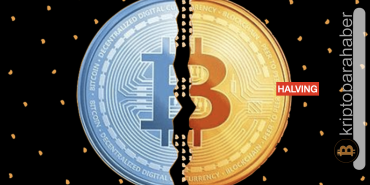 halving olunca ne olur