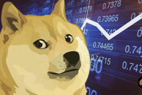 Dogecoin fiyat analizi: Kritik seviyenin yeniden test edilmesi potansiyel bir ralliye mi işaret ediyor?