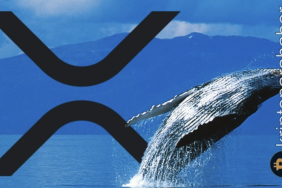 XRP için balinalar harekete geçti! Popüler adresler akın ediyor