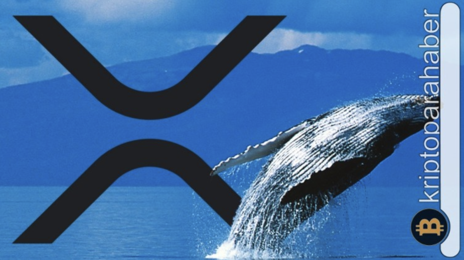 XRP için balinalar harekete geçti! Popüler adresler akın ediyor