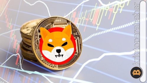Shiba Inu ağındaki aktif adres sayısı artıyor! Güncel veriler neye işaret ediyor?