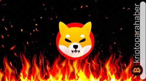 Shiba Inu yakım oranının artması fiyatı yükseltmeye yeterli olmadı! Peki, neden?