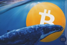 BTC Balina hareketleri, takip edilmesi gereken balina cüzdanları, btc balina hareketleri - kripto para haber