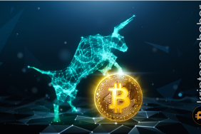 Bitcoin boğa piyasası devam edecek mi? Analiz ve tahminler