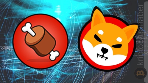 Shiba Inu: Dubai’nin önde gelen borsalarından biri, BONE için resmi listeleme tarihini duyurdu: 24 Nisan