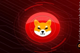 Shiba Inu'nun düşük likidite sorunu yatırımcıları endişelendiriyor! İşte nedeni