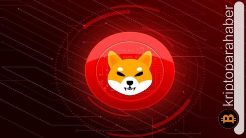 Shiba Inu’nun düşük likidite sorunu yatırımcıları endişelendiriyor! İşte nedeni