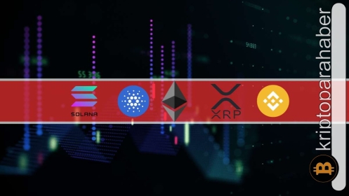 Kripto piyasasında volatilite artıyor: Altcoinlerin seyri farklılık gösteriyor!