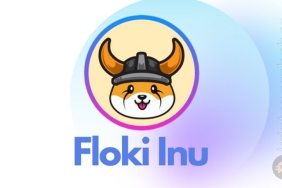 Floki Inu fiyat analizi, floki inu neden yükseliyor