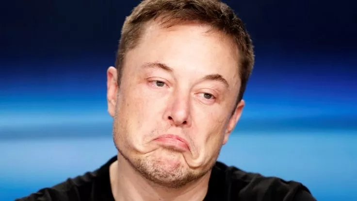 Elon Musk Doge