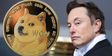 Elon Musk doge