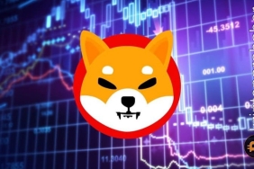 SHIB balinası, milyarlarca dolarlık yatırımıyla topluluğu şaşırtırken yakma oranı kontrolden çıkıyor!