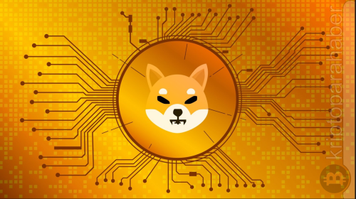 Shiba Inu, yakında duyurulacak metaverse projesi Rocket Pond ile yeni bir dönem açıyor.